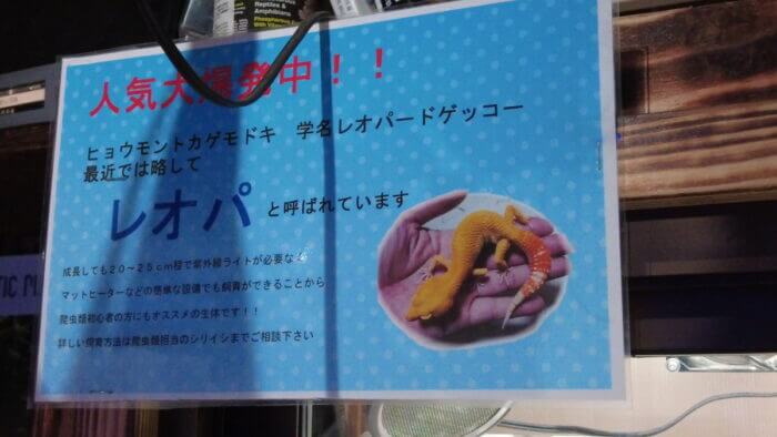 アクアステージ518