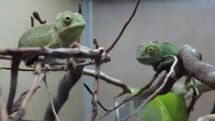 アクアステージ518