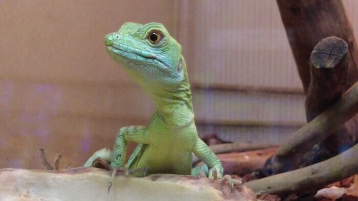 アクアステージ518