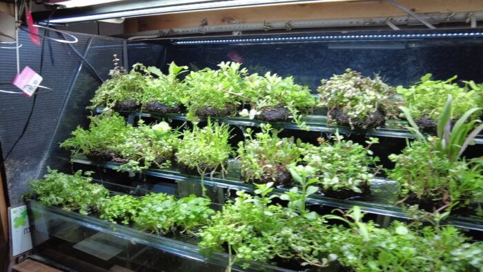 アクアステージ518