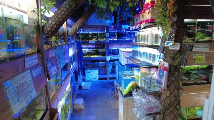 アクアステージ518