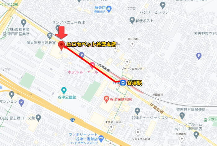 ヒロセペット谷津本店 千葉県習志野市