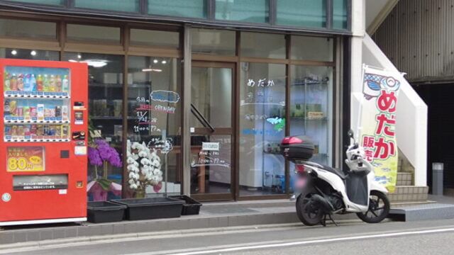 堀切めだか4号店