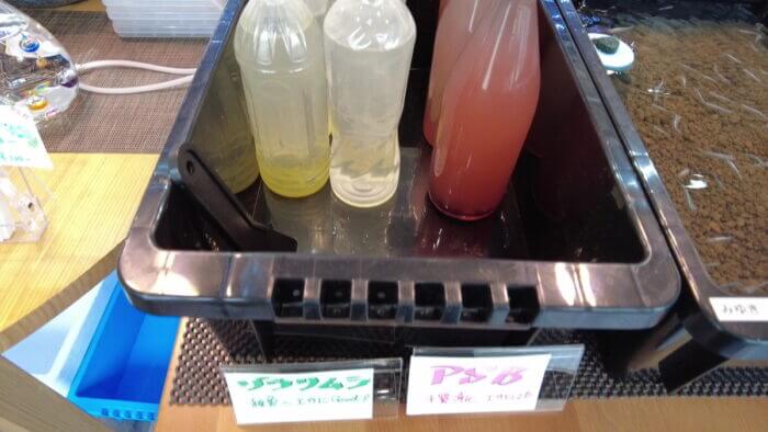 堀切めだか4号店