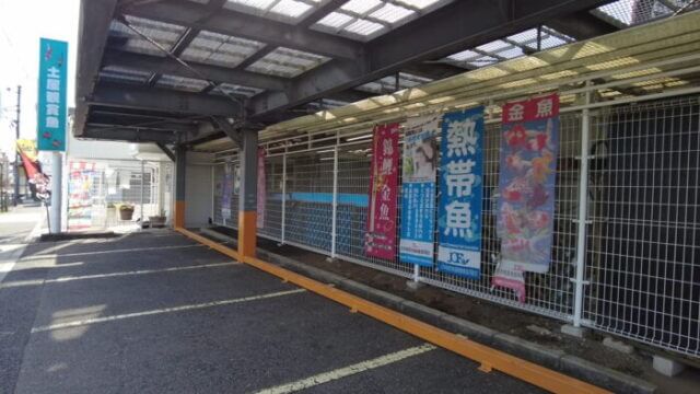 土屋観賞魚販売株式会社