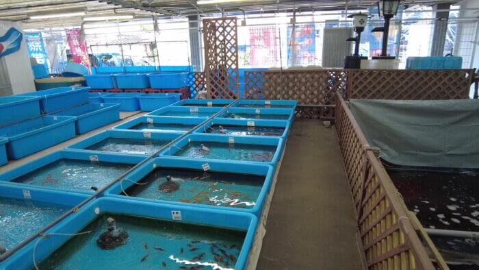 土屋観賞魚販売株式会社