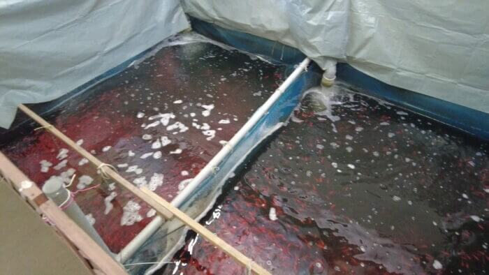 土屋観賞魚販売株式会社