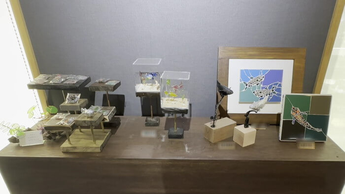 みぞのくちめだか販売店