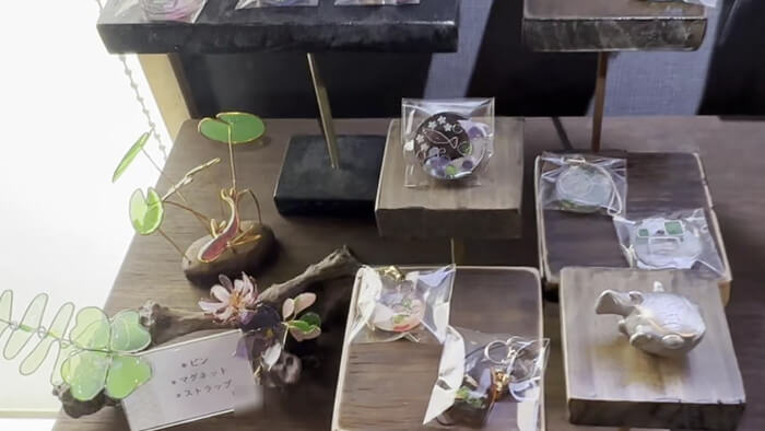 みぞのくちめだか販売店