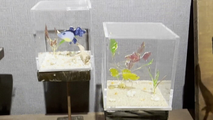 みぞのくちめだか販売店