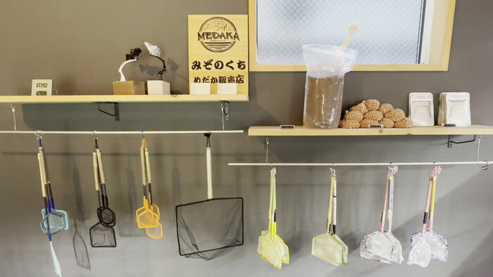 みぞのくちめだか販売店