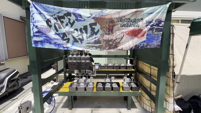 みぞのくちめだか販売店