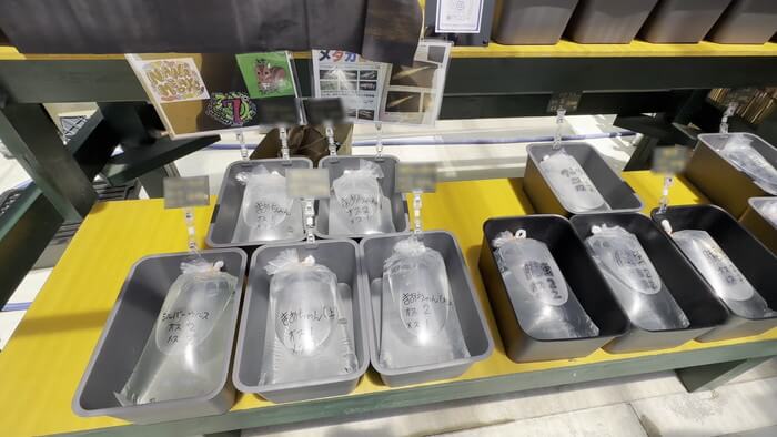 みぞのくちめだか販売店