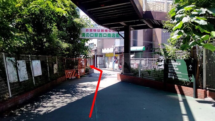 みぞのくちめだか販売店