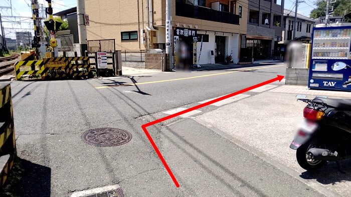 みぞのくちめだか販売店