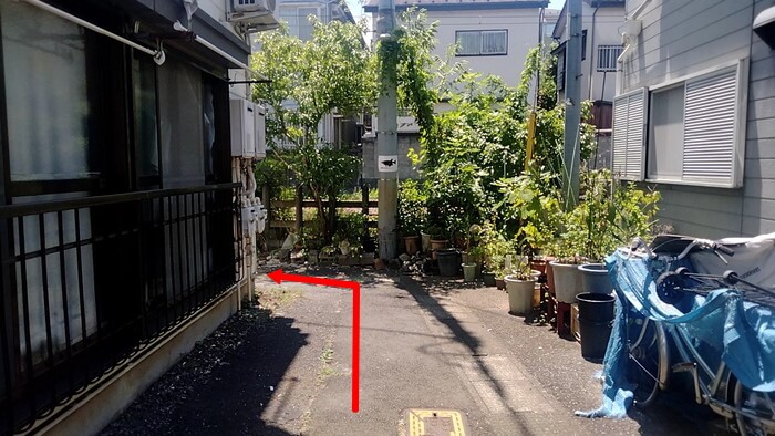 みぞのくちめだか販売店