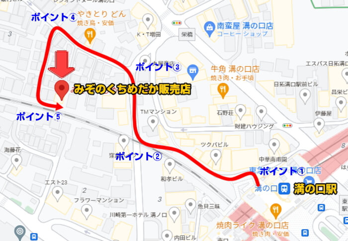 みぞのくちめだか販売店