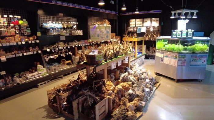 トロピランド小平店