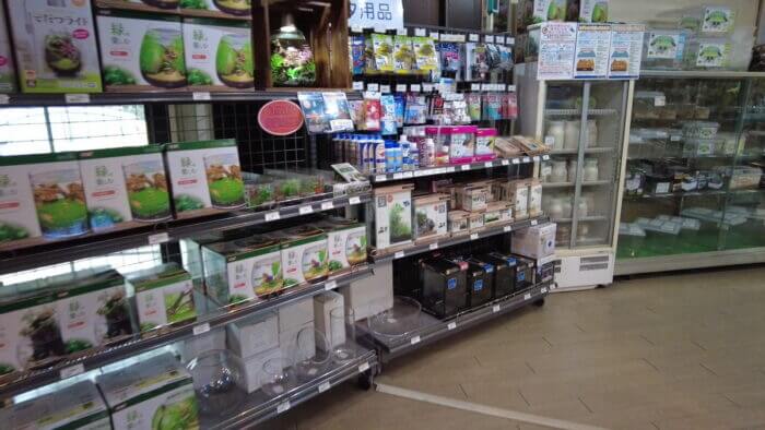 トロピランド小平店