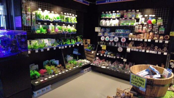 トロピランド小平店