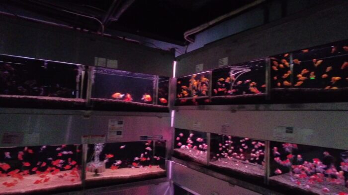 トロピランド小平店