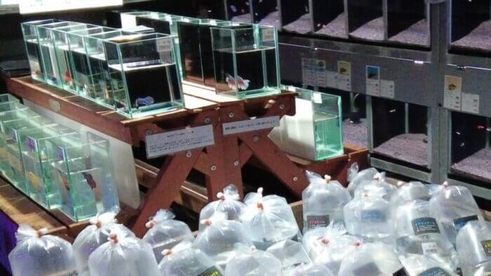 トロピランド小平店