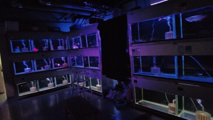 トロピランド小平店