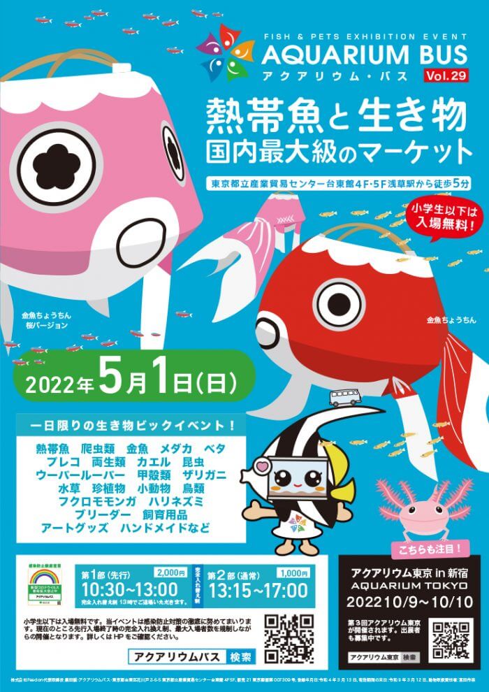 アクアリウムバス 29