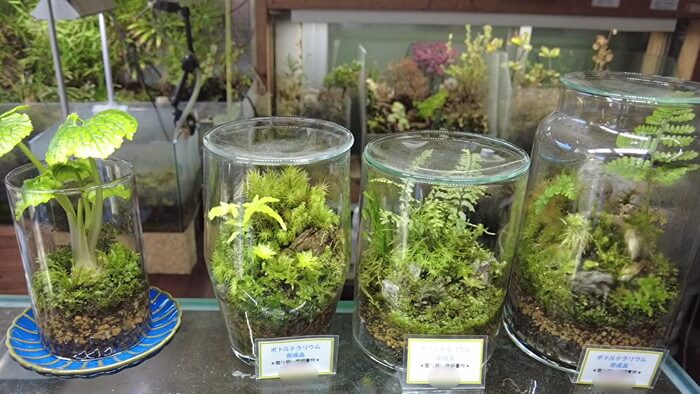 アテラリサーチ