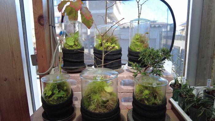 アテラリサーチ