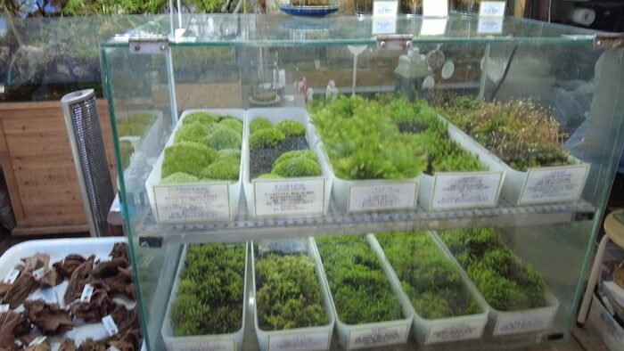 アテラリサーチ