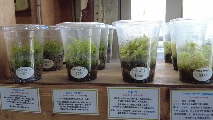 アテラリサーチ