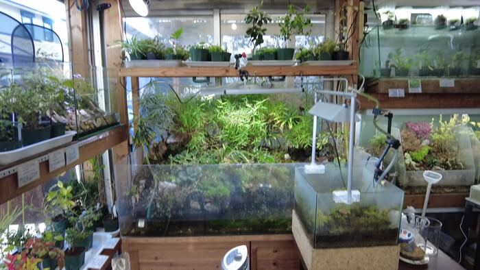 アテラリサーチ