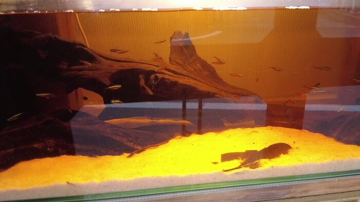 あくあしょっぷ石と泉