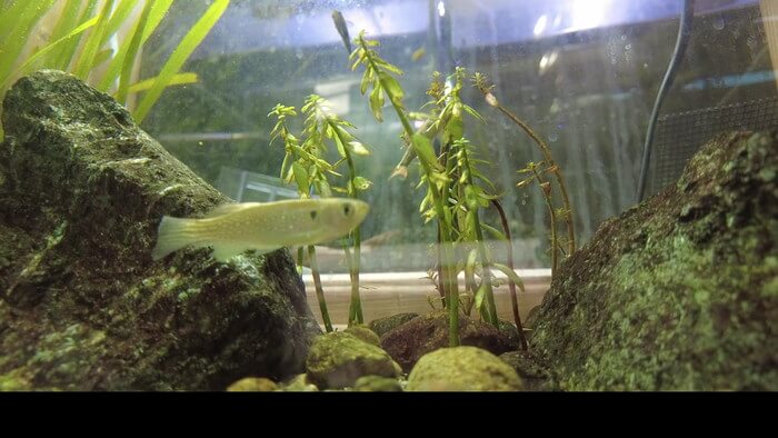 あくあしょっぷ石と泉