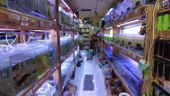 あくあしょっぷ石と泉