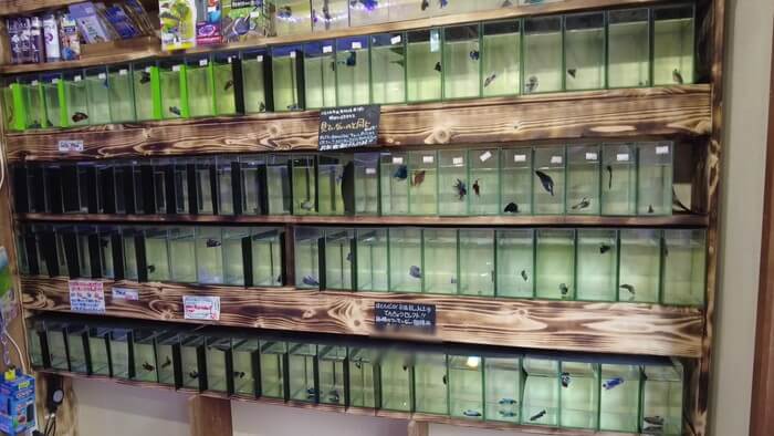 あくあしょっぷ石と泉