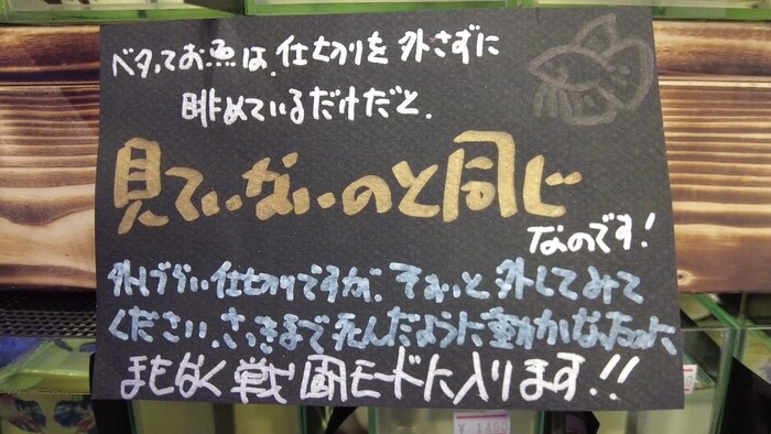 あくあしょっぷ石と泉