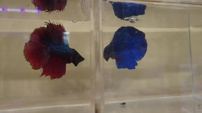 あくあしょっぷ石と泉