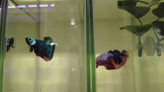 あくあしょっぷ石と泉