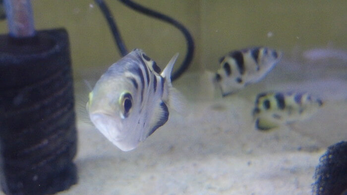 あくあしょっぷ石と泉