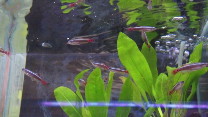 あくあしょっぷ石と泉