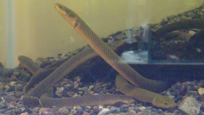 あくあしょっぷ石と泉