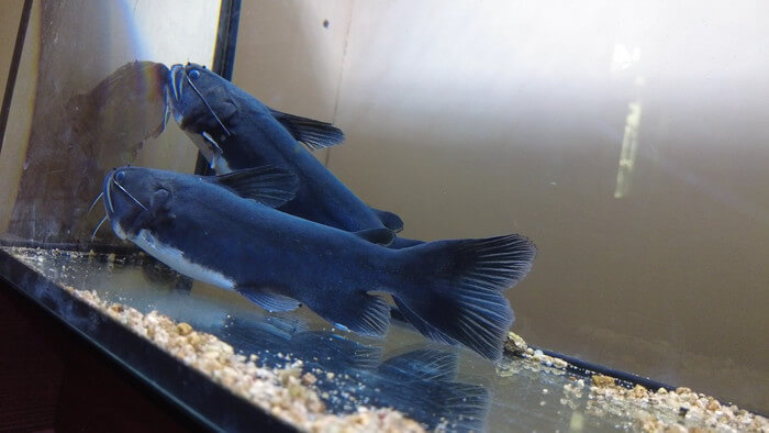 あくあしょっぷ石と泉