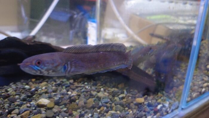 あくあしょっぷ石と泉