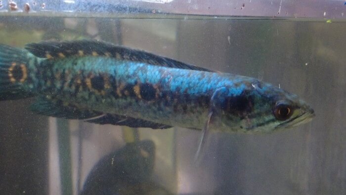 あくあしょっぷ石と泉