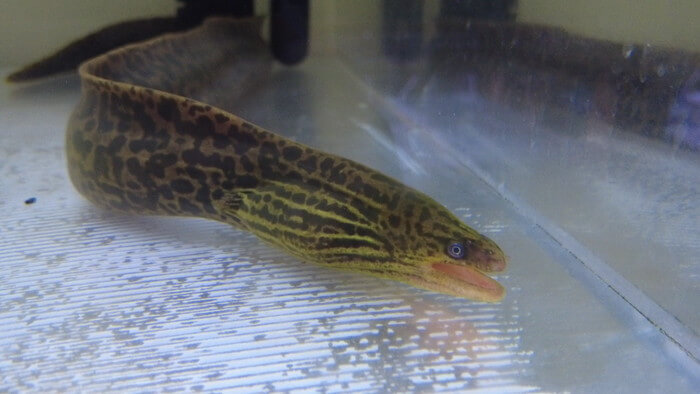 あくあしょっぷ石と泉