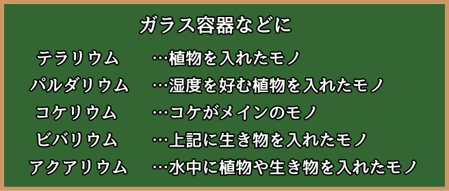 テラリウムとは？