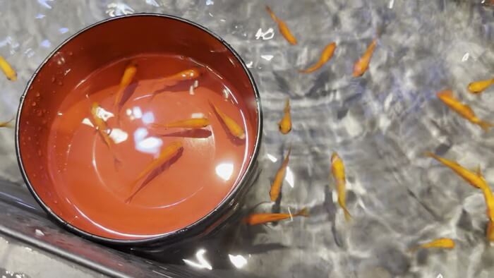 アクアフォレスト ソラマチ店