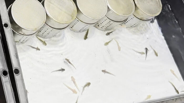 アクアフォレスト ソラマチ店